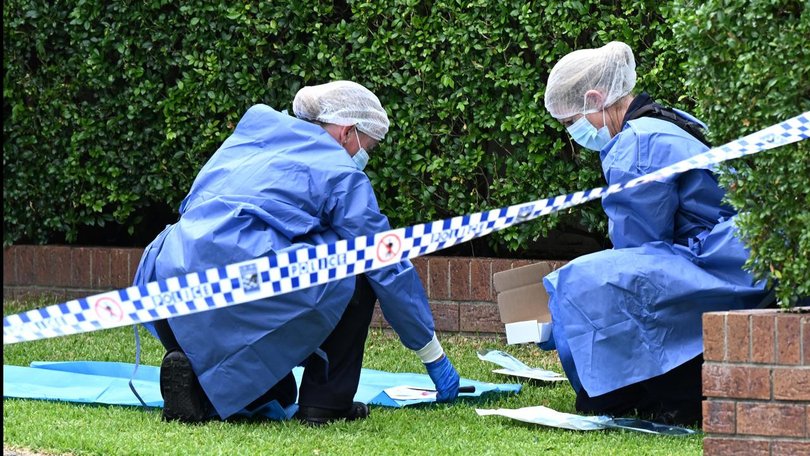 A review has confirmed major delays at a state forensics lab with an expert team to intervene.