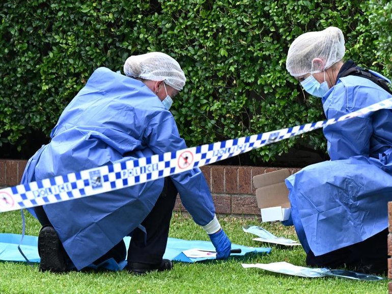 A review has confirmed major delays at a state forensics lab with an expert team to intervene. 
