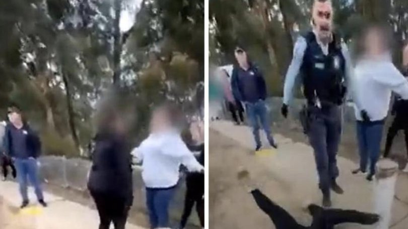 NSW Police are reviewing footage on social media allegedly showing a police officer pushing a woman to the ground. Picture: Supplied