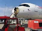The nose of the plane was smashed by what is thought to have been a collision with a vulture.