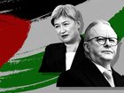 Foreign Minister Penny Wong has warned the world faces the risk there will be ‘no Palestine left to recognise’.