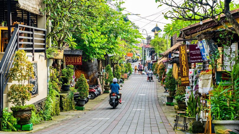 Travellers have been urged to get vaccinated for rabies before they travelled to Bali.