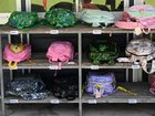 Almost 600,000 students at primary and high schools are expected to be affected by strike action. (Darren England/AAP PHOTOS)