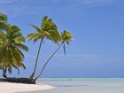 The US has entered into talks with the Cook Islands to develop seabed mineral resources.