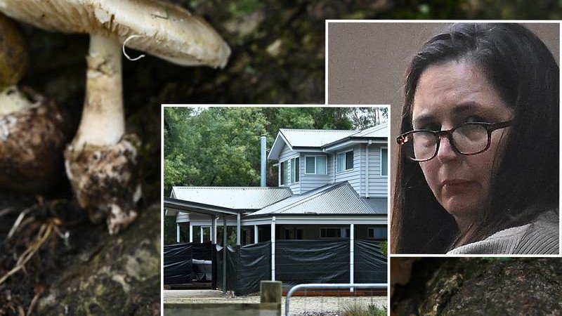 A day before she served up a fatal lunch to four of his family members, Erin Patterson’s husband turned down the invite.