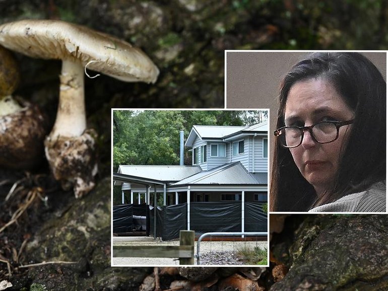 A day before she served up a fatal lunch to four of his family members, Erin Patterson’s husband turned down the invite. 