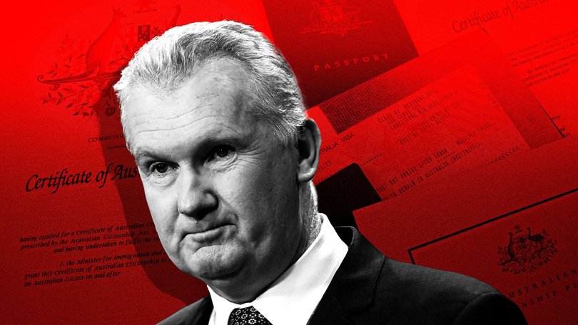 Home Affairs Minister Tony Burke has demanded answers after a Palestinian woman who praised Hamas attack on Israel was granted an Australian visa.