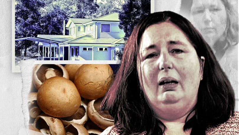 The fake cat, poison PDFs and a trip to the tip: Inside the evidence suppressed in Erin Patterson’s trial.
