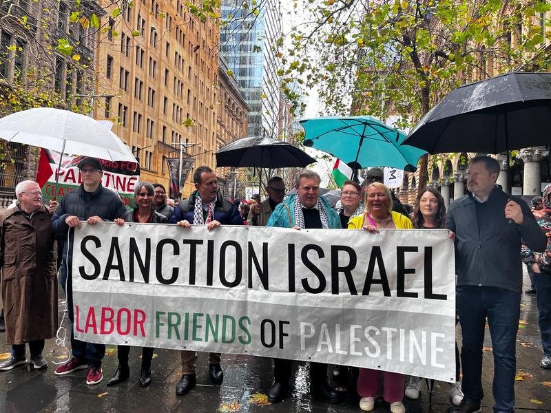 Anthony D'Adam was part of the Pro-Palestine harbour bridge protest which the premier tried to stop. (Farid Farid/AAP PHOTOS)
