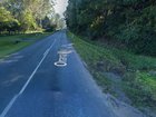 A man was allegedly shot following an argument on Saturday night on Orara Way in Nana Glen.