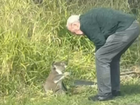 An elderly driver has gone viral after video emerged of him rescuing a koala from a busy road 