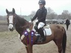 Pernille Sohl donated her daughter's pony, Chicago 57, to Aalborg Zoo as food for predators.
