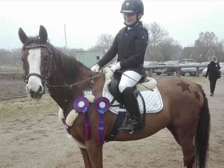 Pernille Sohl donated her daughter's pony, Chicago 57, to Aalborg Zoo as food for predators.