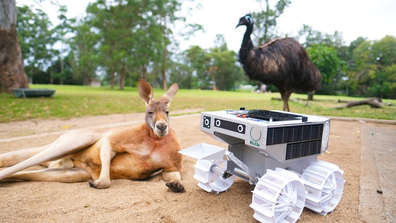 Luna Rover "Roo-ver" project