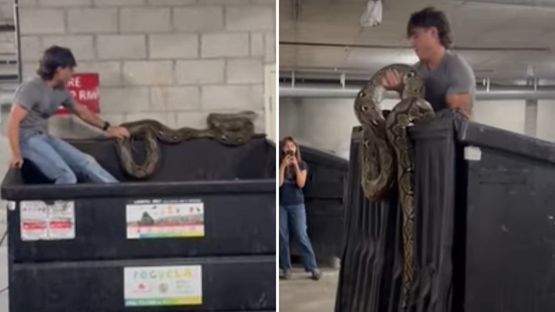 A woman made a frightening mistake after finding a giant 6m python.