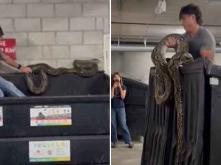 A woman made a frightening mistake after finding a giant 6m python.