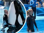 Dawn Brancheau the SeaWorld trainer who was killed by an Orca on the left and the AI generated content of ‘Jessica Radcliffe’ on the right. 