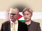 EDITORIAL: Anthony Albanese and Penny Wong are living in a fantasy land. 
