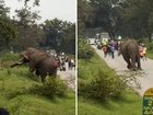 Terrifying footage has surfaced of an elephant charging towards a tourist in India.