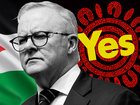 All slogans, no action for Anthony Albanese’s statehood recognition. 