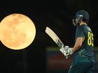 Tim David saved Australia’s bacon in the opening T20.