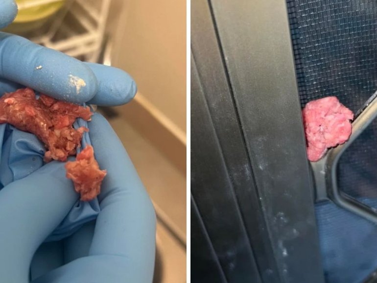 A meatball containing white power was found wedged on the front door of a Brisbane apartment.
