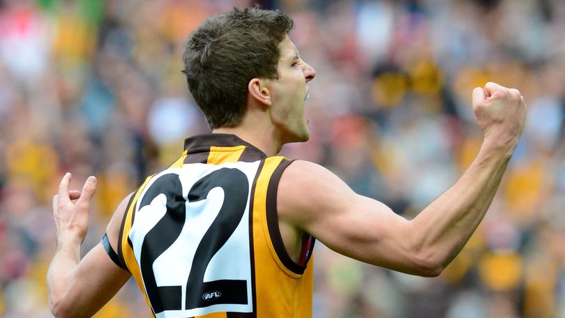 Luke Breust in the 2013 grand final.