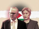 Prime Minister Anthony Albanese and Foreign Minister Penny Wong.