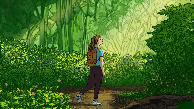 Being in nature is great for your brain. Experts are trying to figure out why. (Liam Cobb/The New York Times) — FOR EDITORIAL USE ONLY WITH NYT STORY SCI BRAIN NATURE BY DANA G. SMITH FOR AUG. 14, 2025. ALL OTHER USE PROHIBITED. —