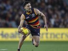Adelaide nervously await the outcome of an AFL investigation into star player Izak Rankine.