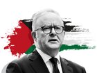 Why conservatives are losing ground as Albanese rides public support on tough calls.