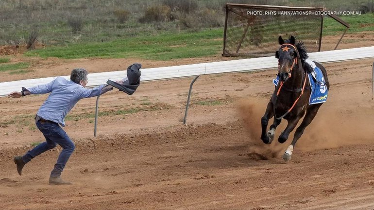 Darryl Carrison jumped onto the track to divert the horse. 