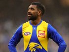 West Coast are bracing for Liam Ryan to join St Kilda. 