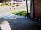A chilling video shows a father and his son moments before they were killed on the footpath by an alleged drunk driver in Logan.