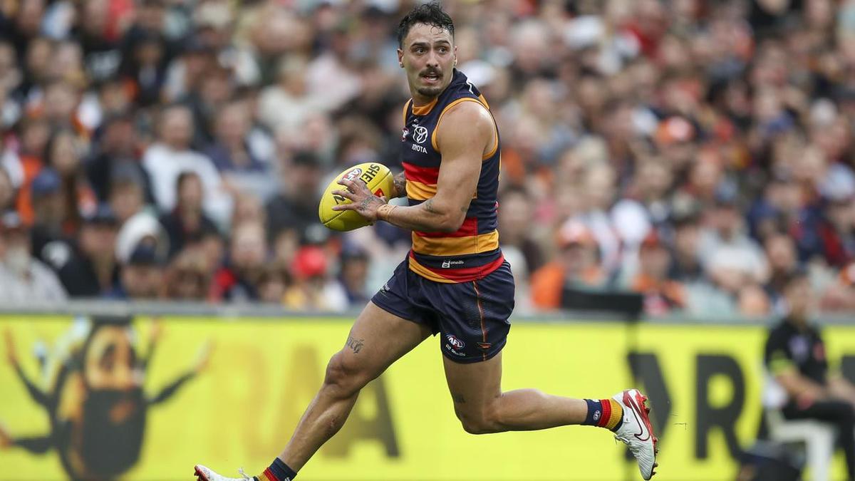 Adelaide Crows star Izak Rankine's 'season is finished' over alleged homophobic slur during Collingwood match