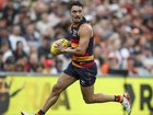 Adelaide’s premiership hopes have been rocked, with Izak Rankine facing a season-ending suspension.