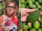 A food festival has ended in heartbreak after a dodgy batch of guacamole left two people dead.