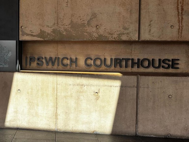 A girl accused of stabbing her foster carer has applied for bail in Ipswich Children's Court.