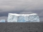 Scientists are growing increasingly concerned at the loss of Antarctic sea ice.