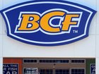 Super Retail Group, which owns Supercheap Auto and BCF, posted record sales for the financial year. (Dave Hunt/AAP PHOTOS)