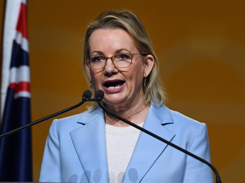 Sussan Ley vowed to get the party back in government but warned much needed to change to make it happen. Picture: NewsWire / John Gass