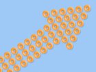 BEN HARVEY: Beware of meme stock, don’t let a glazed Krispy Kreme donut trick you into a company ploy.