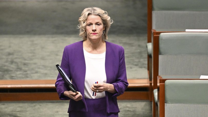 Housing Minister Clare O’Neil said it was currently ‘too hard to build a home in this country’.