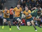 Corey Toole had a fine game but the Wallabies missed out on their historic double in South Africa.
