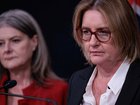 The Allan Government has moved to fast-track sweeping childcare reforms. NewsWire / Nadir Kinani