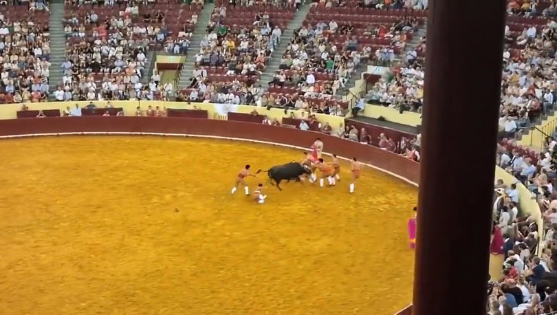 Trindade was taken to hospital but later died. 