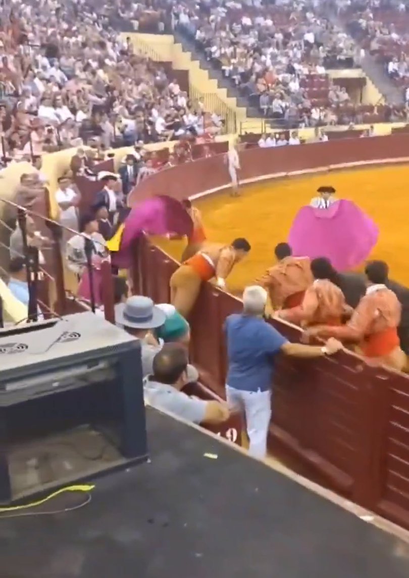 Panicked bullfighters frantically waved pink and yellow capes in the face of the bull to stop the attack 