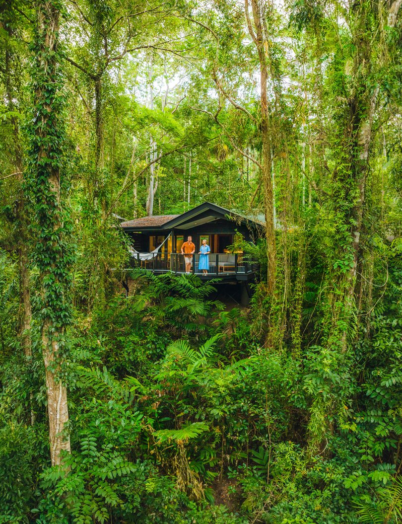 The Daintree / Kada Kaba is your backdrop to a stay at Silky Oaks Lodge, where you can sign up to do tours with Kuku Yalanji guides from Walkabout Cultural Adventures or the Mossman Gorge Centre.