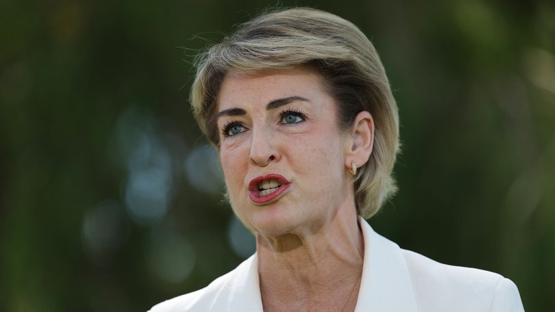Senator Michaelia Cash has blasted Prime Minister Anthony Albanese.