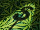 THE NEW YORK TIMES: California’s potent legal weed is booming in Britain, less legally.